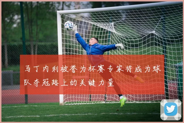 马丁内利被誉为杯赛专家将成为球队夺冠路上的关键力量
