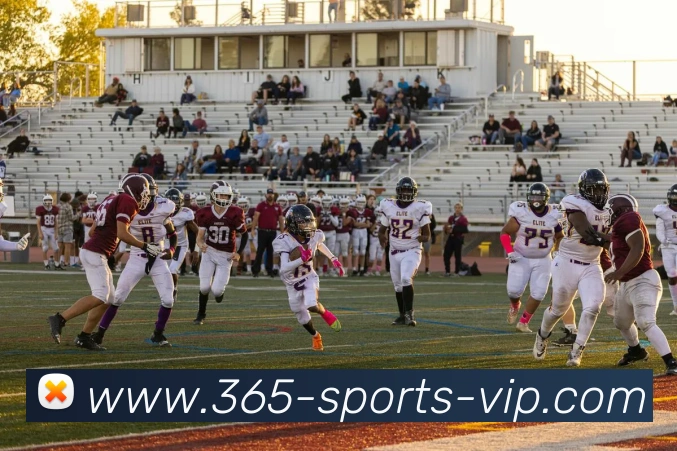 Bet365官网APP 体育赛事宣传图